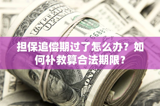 济南担保追偿期过了怎么办？如何补救算合法期限？