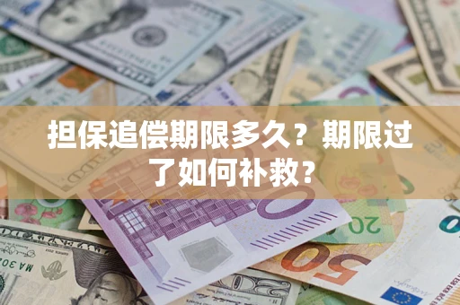 济南担保追偿期限多久？期限过了如何补救？