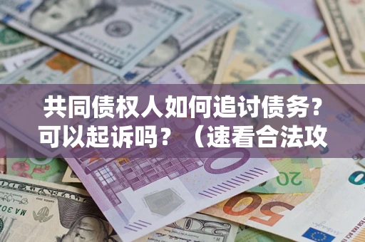 济南共同债权人如何追讨债务？可以起诉吗？（速看合法攻略）