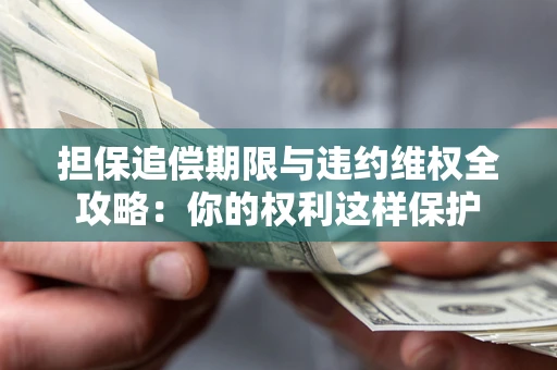 济南担保追偿期限与违约维权全攻略：你的权利这样保护